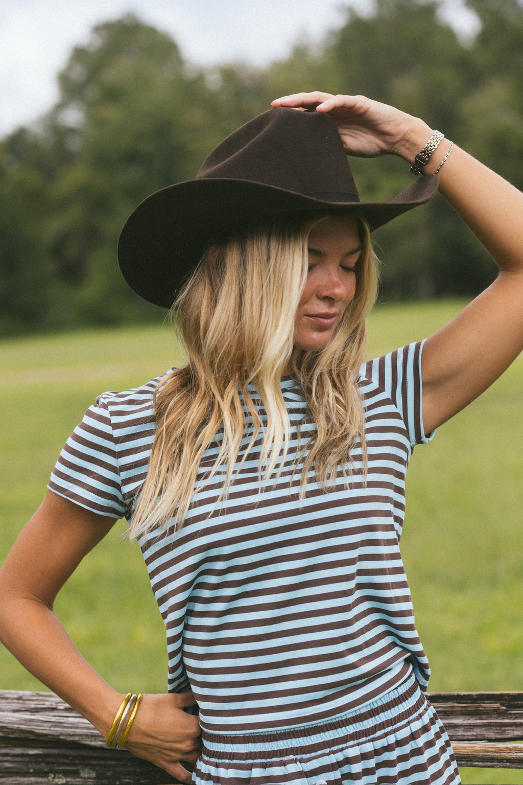 Fancy Striped Fitted Short Sleeve Top - Glacier/Chocolate