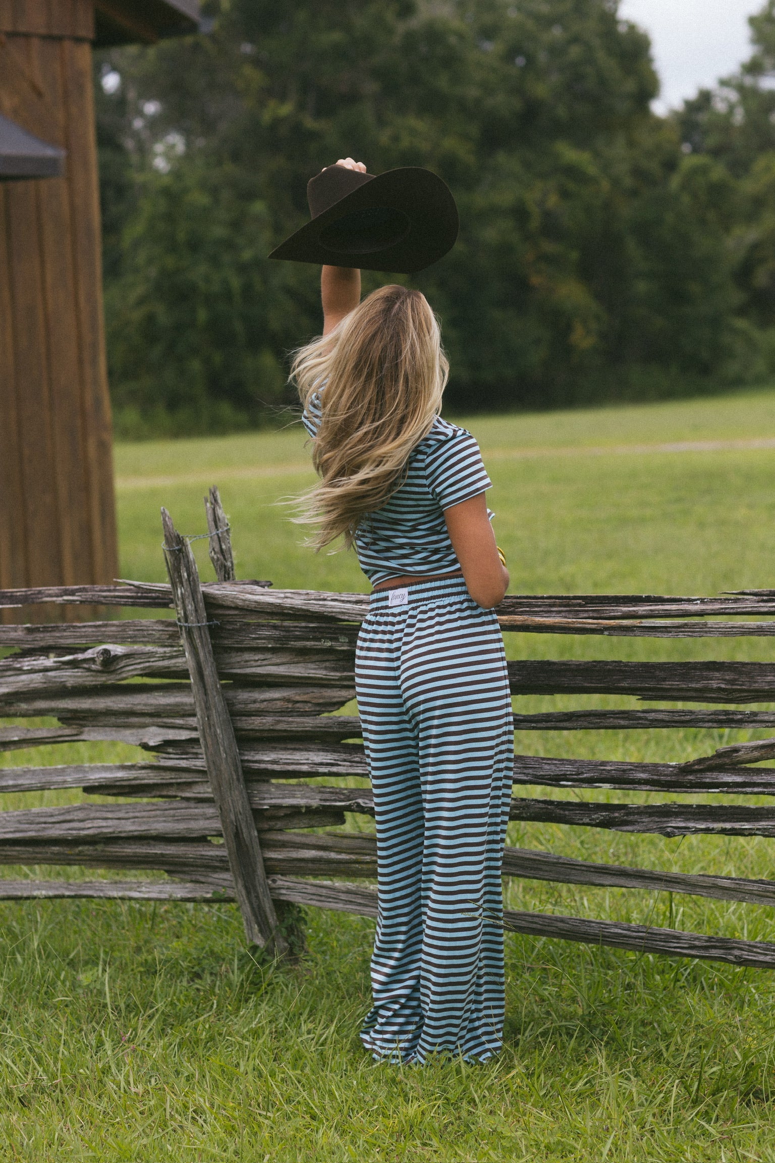 Fancy Striped Fitted Short Sleeve Top - Glacier/Chocolate