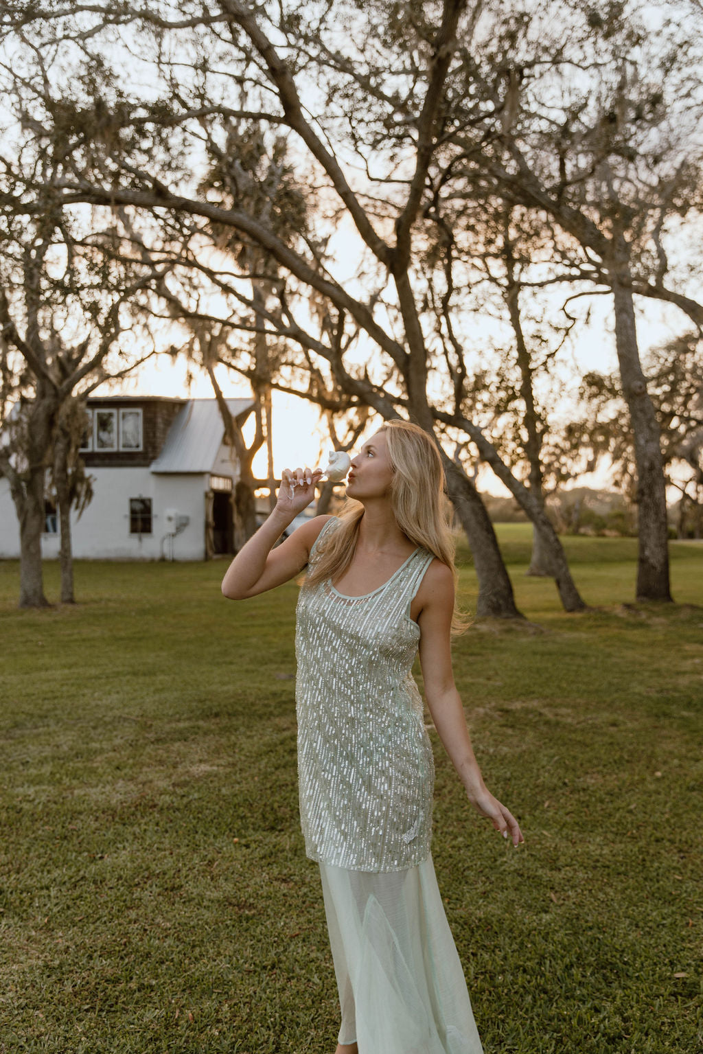 Thea Overlay Sequin Chiffon Maxi Dress - Sage