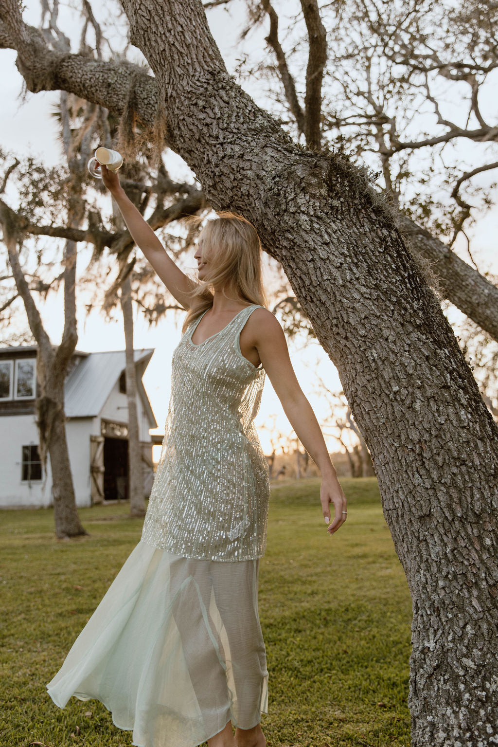 Thea Overlay Sequin Chiffon Maxi Dress - Sage