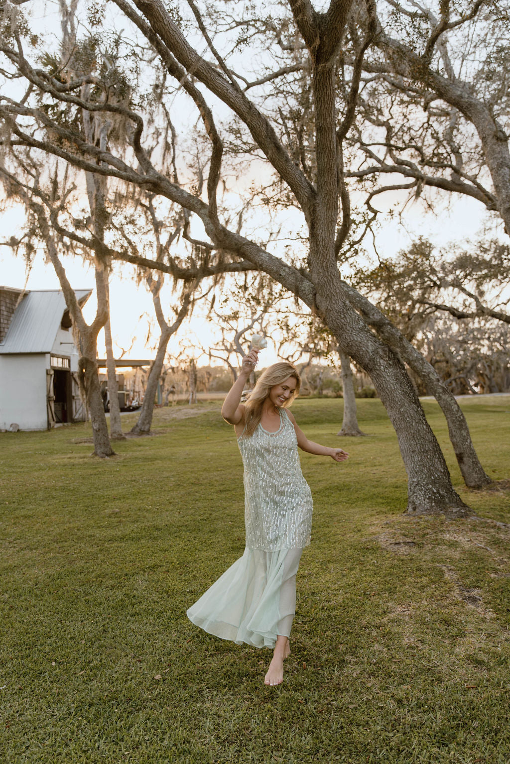 Thea Overlay Sequin Chiffon Maxi Dress - Sage