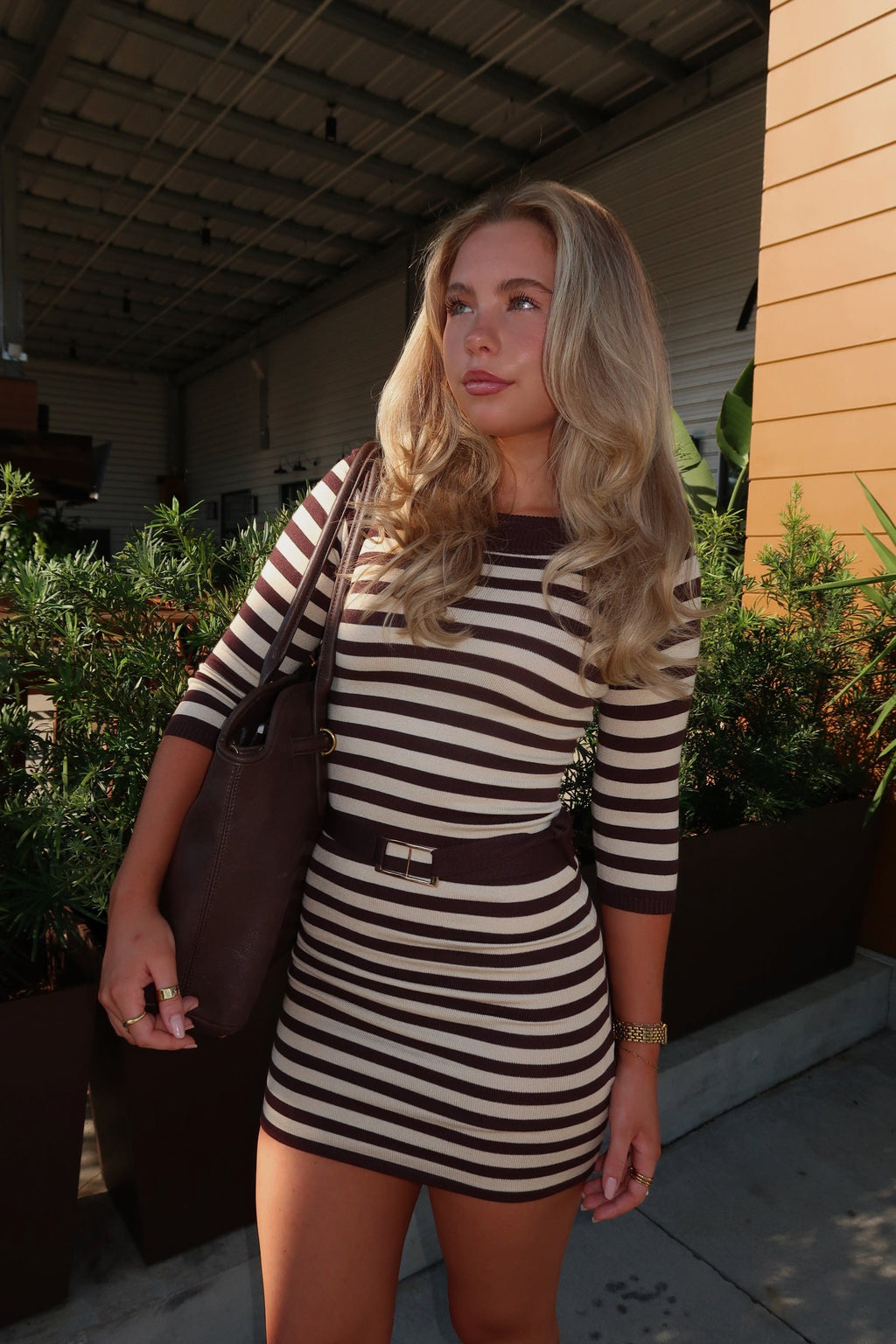 Brook Stripe Knit Dress - Brown Natural