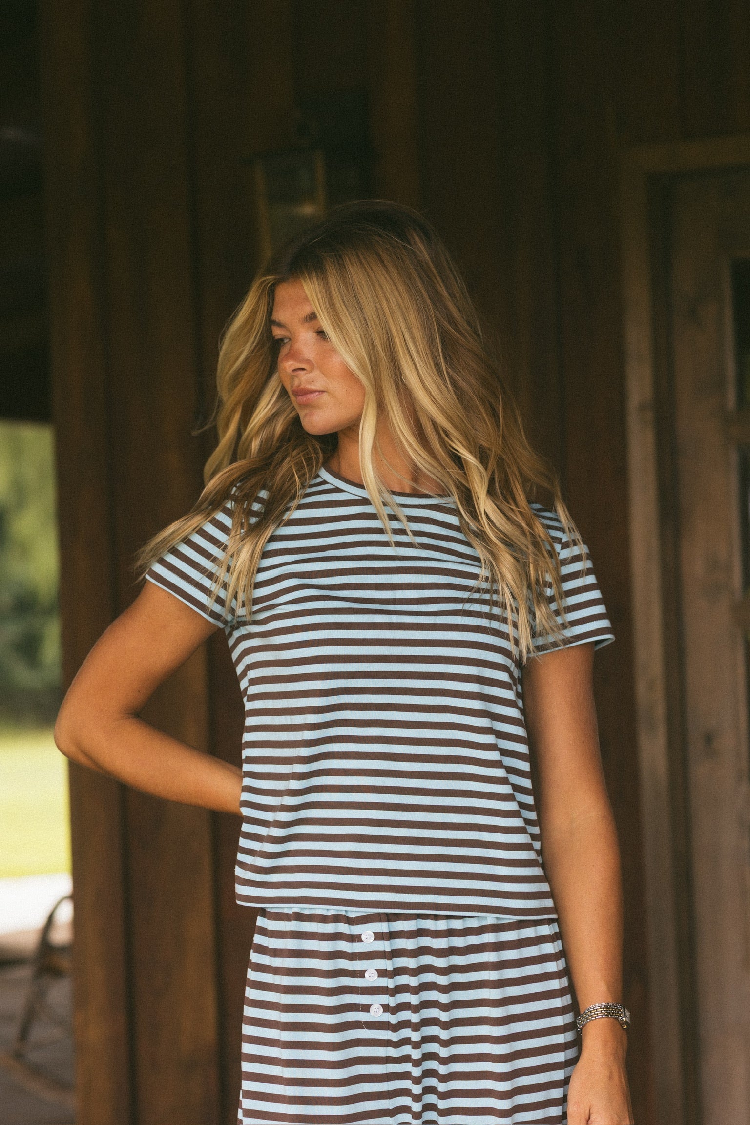 Fancy Striped Fitted Short Sleeve Top - Glacier/Chocolate
