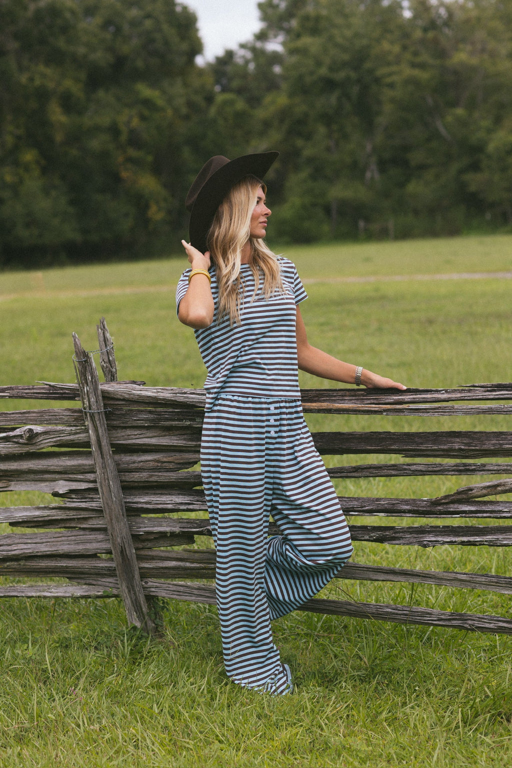 Fancy Striped Fitted Short Sleeve Top - Glacier/Chocolate