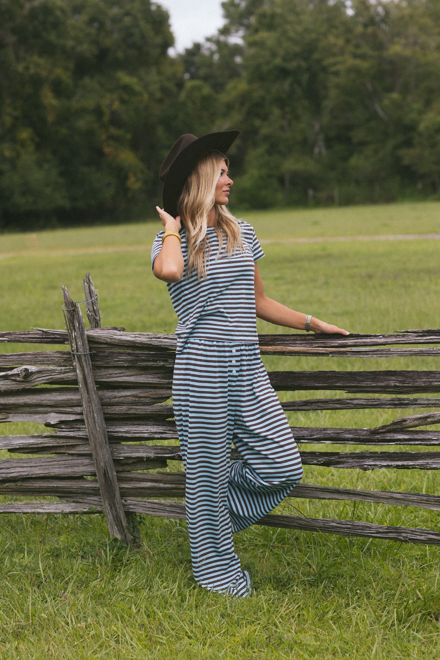 Fancy Striped Fitted Short Sleeve Top - Glacier/Chocolate